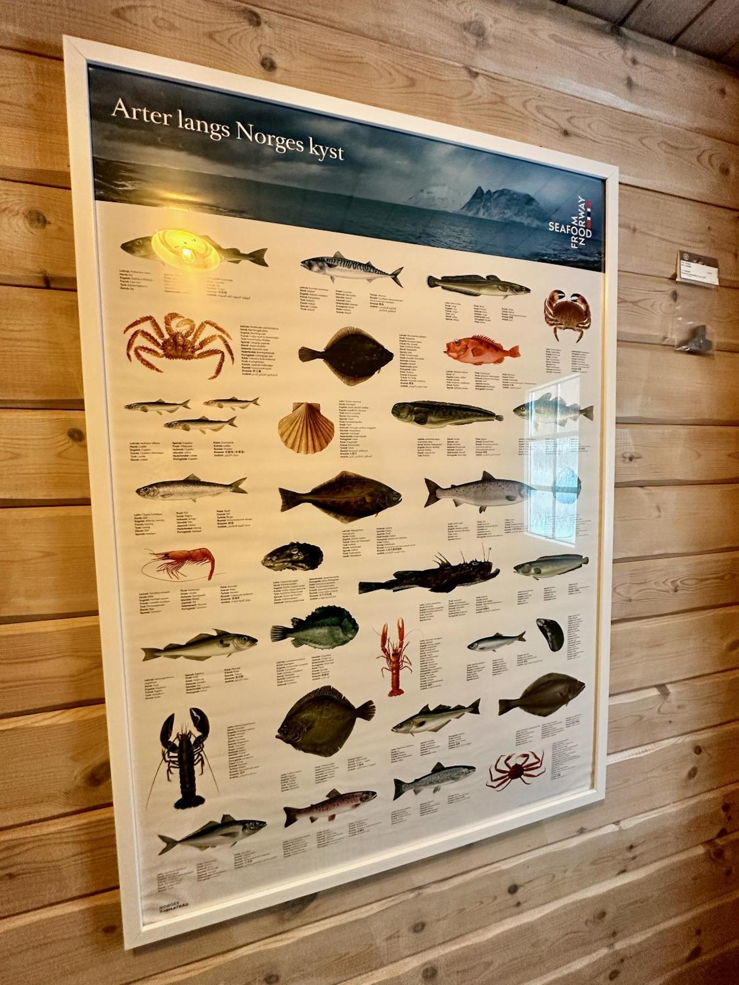 Lofoten Troll Point Bostad Екстериор снимка