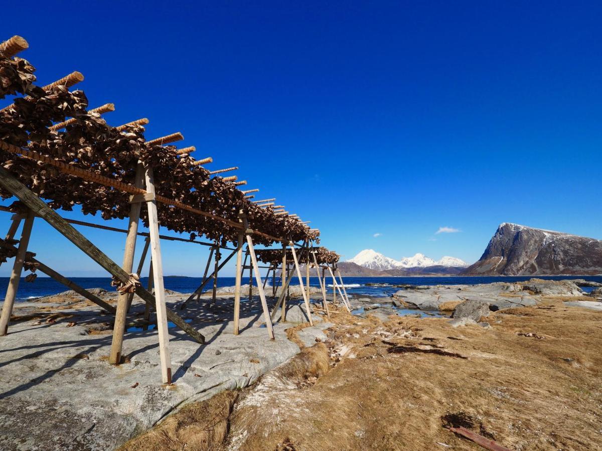 Lofoten Troll Point Bostad Екстериор снимка