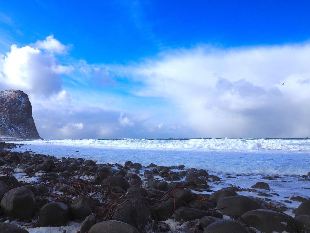Lofoten Troll Point Bostad Екстериор снимка